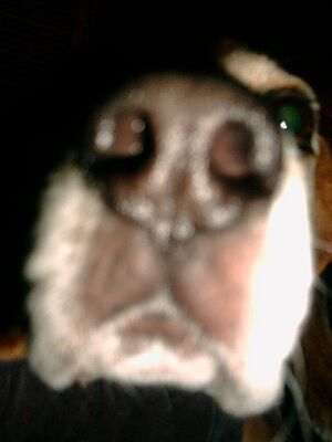 Sei doch nicht so neugierig....